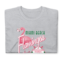 Miami Beach Flamingos