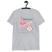 Miami Beach Flamingos