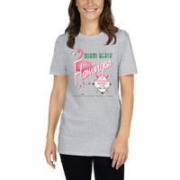 Miami Beach Flamingos