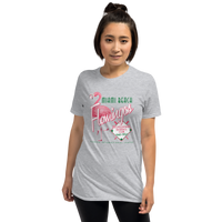 Miami Beach Flamingos