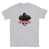 Atlanta Silverbacks