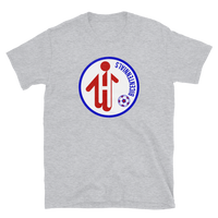 Hartford Bicentennials