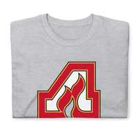 Adirondack Flames