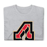 Adirondack Flames