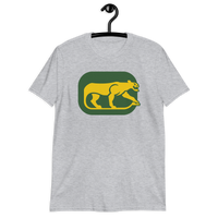 Chicago Cougars