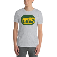 Chicago Cougars