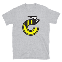Cincinnati Stingers