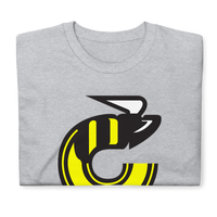 Cincinnati Stingers