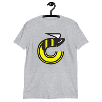 Cincinnati Stingers