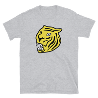 Hamilton Tigers