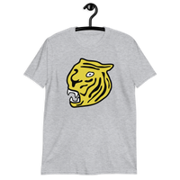 Hamilton Tigers