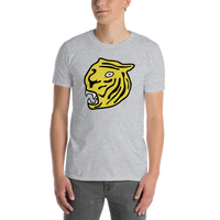 Hamilton Tigers
