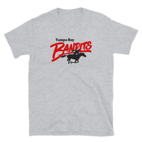 Tampa Bay Bandits