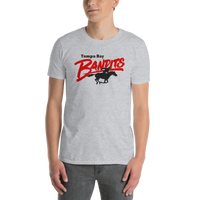 Tampa Bay Bandits