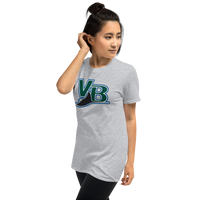 Vero Beach Devil Rays