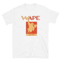 WAPE - Jacksonville, FL