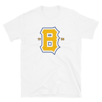 Boston Bees