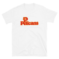 St. Petersburg Pelicans