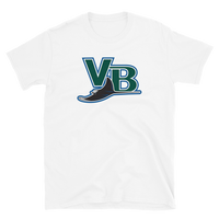 Vero Beach Devil Rays