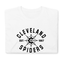 Cleveland Spiders