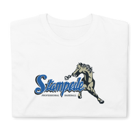 San Bernardino Stampede