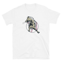 San Bernardino Stampede