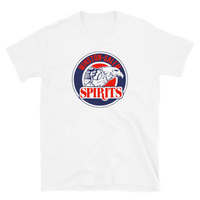 Winston-Salem Spirits