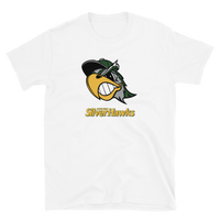 South Bend Silver Hawks