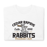 Cedar Rapids Rabbits