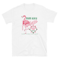 Miami Beach Flamingos