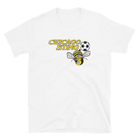 Chicago Sting