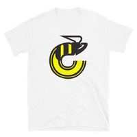 Cincinnati Stingers