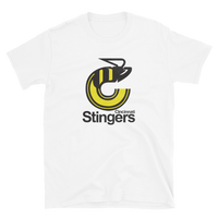 Cincinnati Stingers