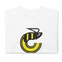 Cincinnati Stingers