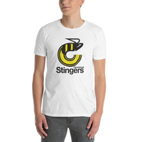 Cincinnati Stingers