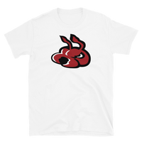 Fayetteville FireAntz