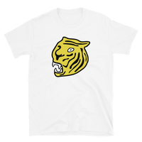 Hamilton Tigers
