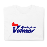 Birmingham Vulcans