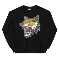 Vermilion County Bobcats (XL logo)