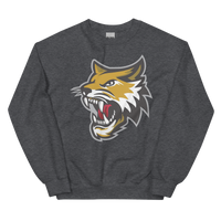 Vermilion County Bobcats (XL logo)