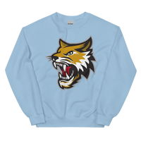 Vermilion County Bobcats (XL logo)