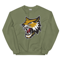 Vermilion County Bobcats (XL logo)