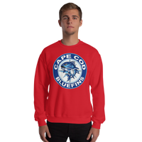 Cape Cod Bluefins (XL logos)