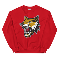 Vermilion County Bobcats (XL logo)