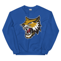 Vermilion County Bobcats (XL logo)