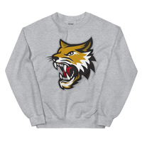 Vermilion County Bobcats (XL logo)