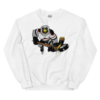 Detroit Falcons (XL logo)