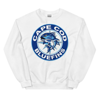 Cape Cod Bluefins (XL logos)