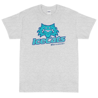 Worcester IceCats (XL logo)