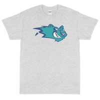 Worcester IceCats (XL logo)